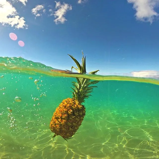 GoPole DOME PRO | Over/Under Dome Port for GoPro HERO8 Black