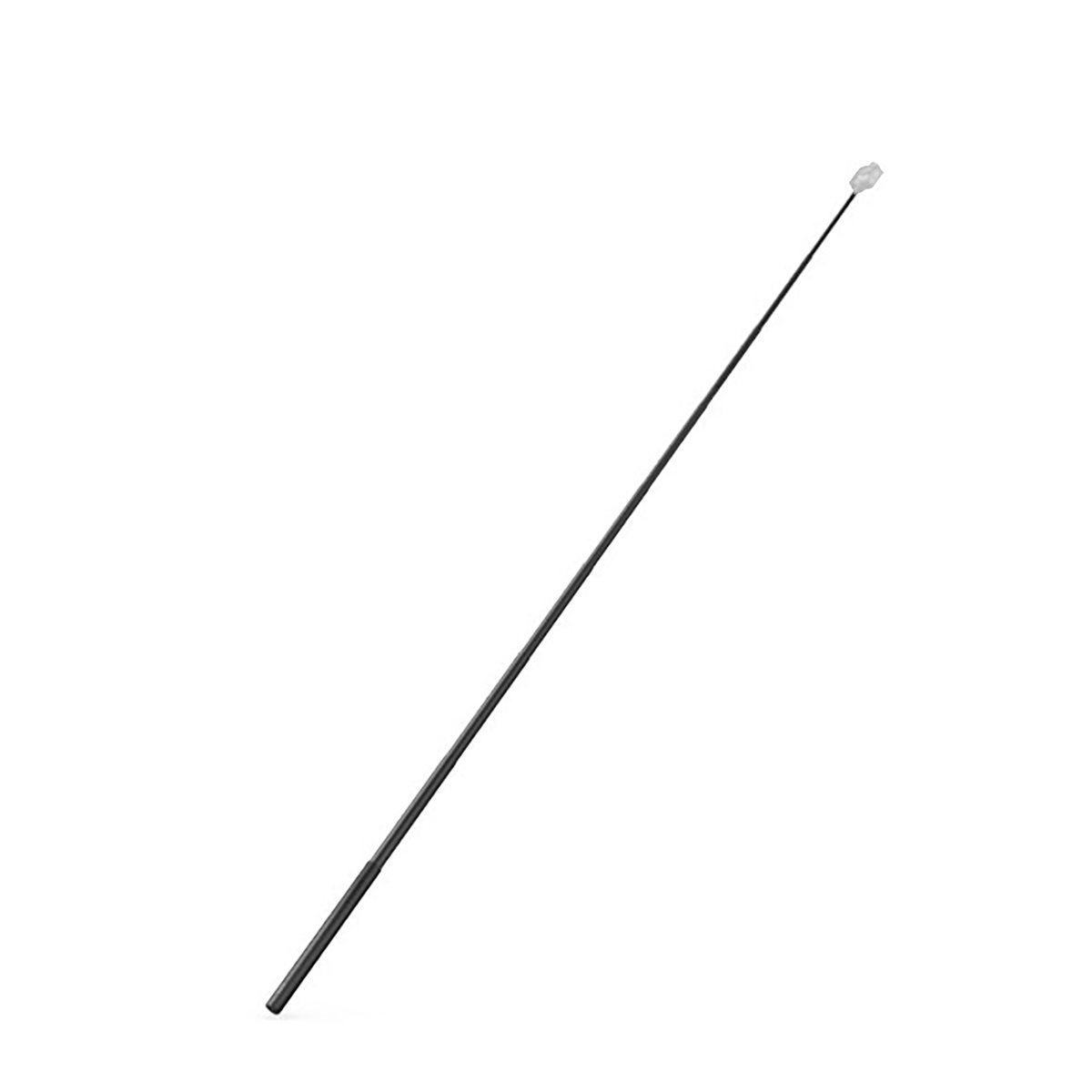 GoPro 2.7m Carbon Fibre Extension Pole AGXTM-002 shown fully extended on white background.